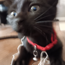 flowers-to-bring-her avatar