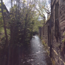 flowersandcalm avatar