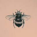 flowersandhoneybees avatar