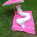 flowersandhorns avatar