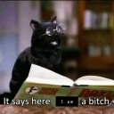 flowerseverywhereoo avatar