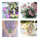 flowersgardenkitchen avatar