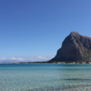 flowersinsicilia avatar