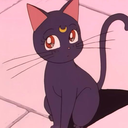 flowersinside-u avatar