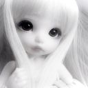 flowersockets avatar