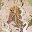 flowertyrants avatar