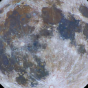 floweryperfum avatar