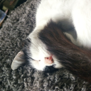 floweryunicornsazz avatar