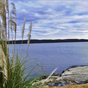 flowingwaterwhispers avatar