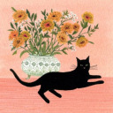 flowwercat avatar