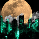 flufflybunnypants avatar