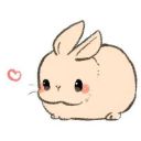 fluffy-bunnys-things avatar