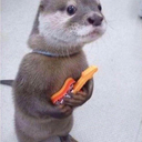 fluffy-headlines avatar