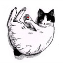 fluffy-kitty0000 avatar