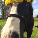 fluffyandproud avatar