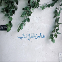 fluffyblanketsrock avatar