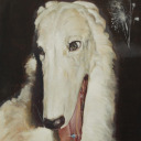 fluffyborzoi avatar