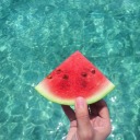 fluffybumsandscales avatar