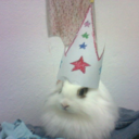 fluffybunbun avatar