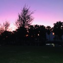 fluffyferret6 avatar