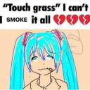 fluffyfoxyjay avatar