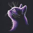 fluffyfranny avatar