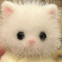 fluffyfuzzball avatar