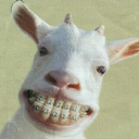 fluffygoatzilla avatar