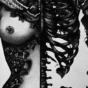 fluffypandaelf-blog avatar