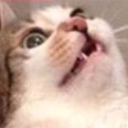 fluffyunicorns42 avatar