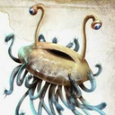 flumphsandflayers avatar