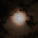 fluorescent-moon avatar