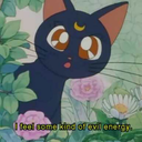 fluorescent-ribs avatar