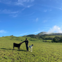 fluorescentdye99 avatar