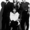 fluorescentis avatar