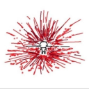 fluoride-faggot avatar