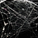 flurryys-blog avatar