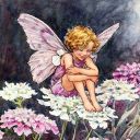 fluttering-fairie-wings avatar