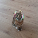 flutteringdaydream avatar