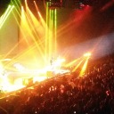 flutteringdreams-matw avatar