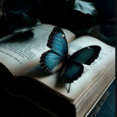 flutteringwings-random avatar