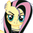 fluttershyes avatar