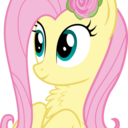 fluttershyhug avatar