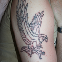 fly-like-eagles avatar