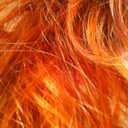 fly-to-feel-free avatar