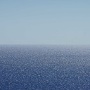 fly-withoutme avatar