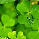 fly2sky2018-blog avatar