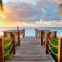 flyfree-freefly avatar