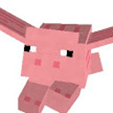 flyignpig avatar