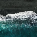 flying-cheesecake avatar